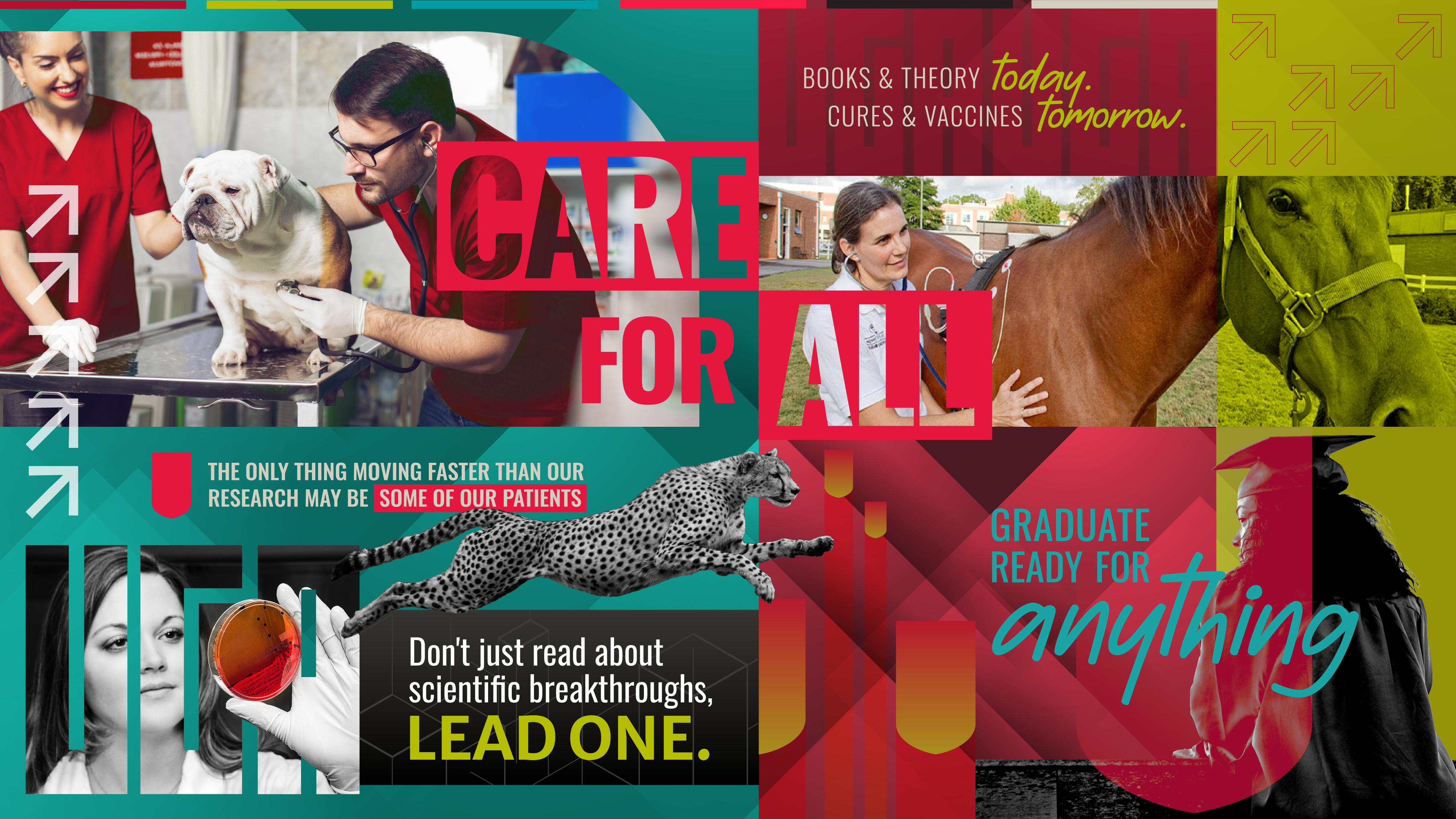 Care For All